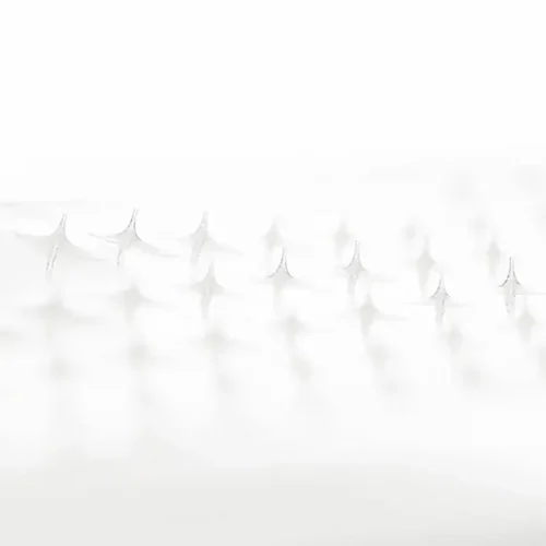 Lagom Peptide Micro Needle Patch