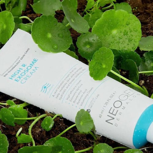 Neogen High R Ekzosome Cream