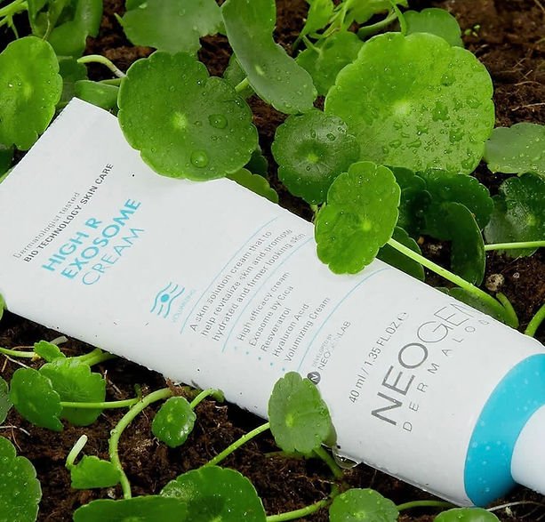 Neogen High R Ekzosome Cream