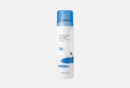 Round Lab Birch Juice Moisturizing Sun Spray SPF50+ PA++++