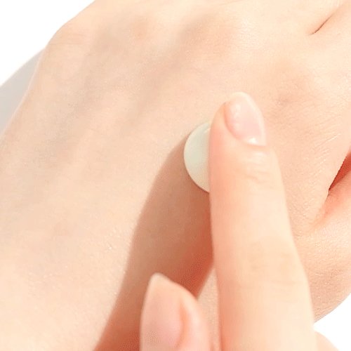 Round Lab Birch Juice Moisturizing Sunscreen SPF50+ PA++++